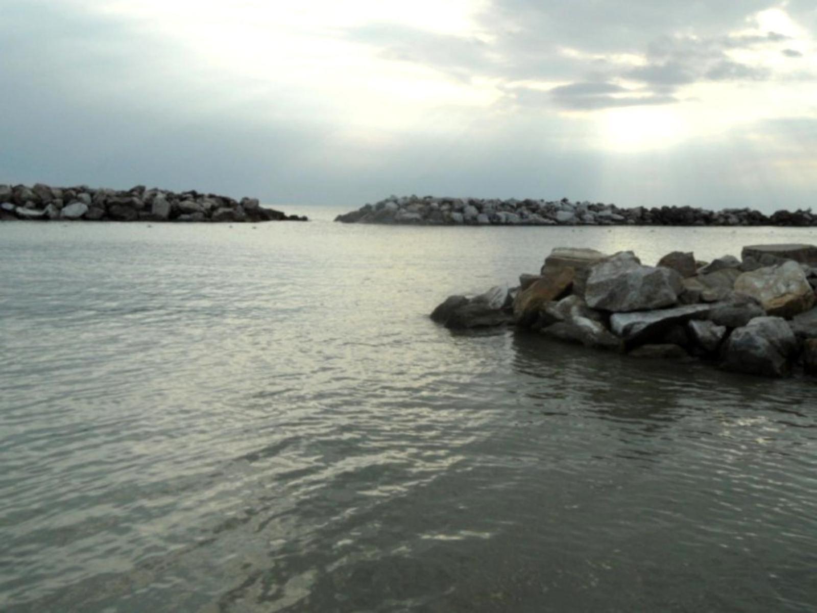 La Coccinella Apartment Marina Di Pisa Bagian luar foto